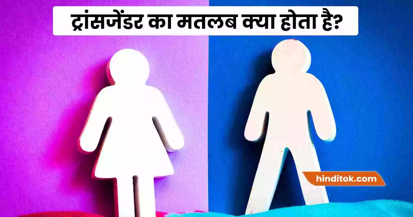 transgender hindi
